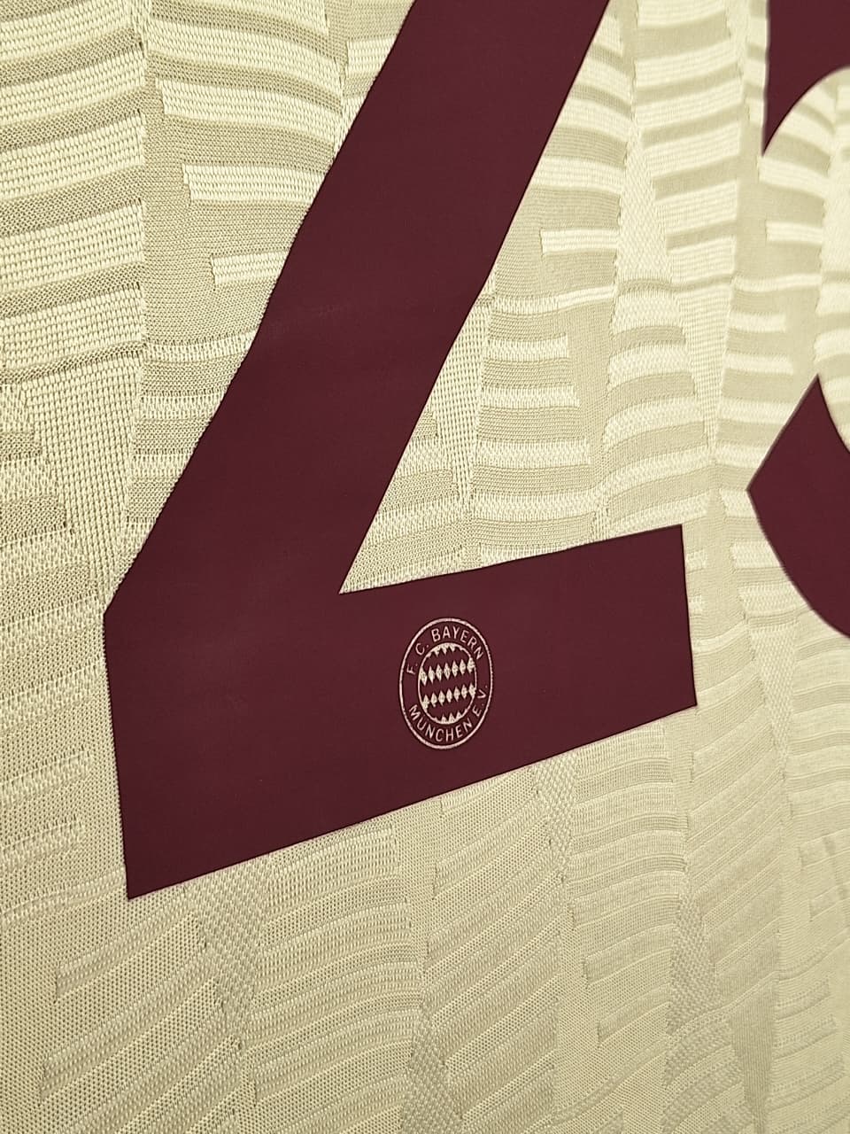 CAMISETA ALTERNA BAYER MUNICH 24/25