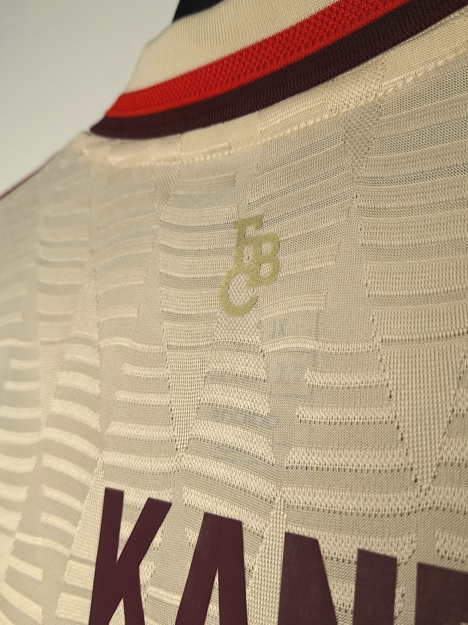 CAMISETA ALTERNA BAYER MUNICH 24/25